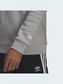 Свитшот Adidas Graphics модель HF4912 Фото