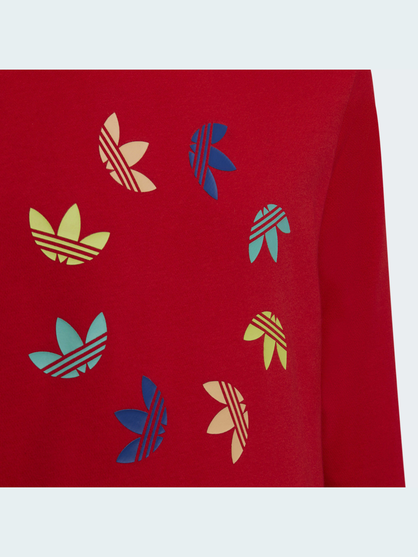 Худі Adidas Adicolor модель HE4778 Фото