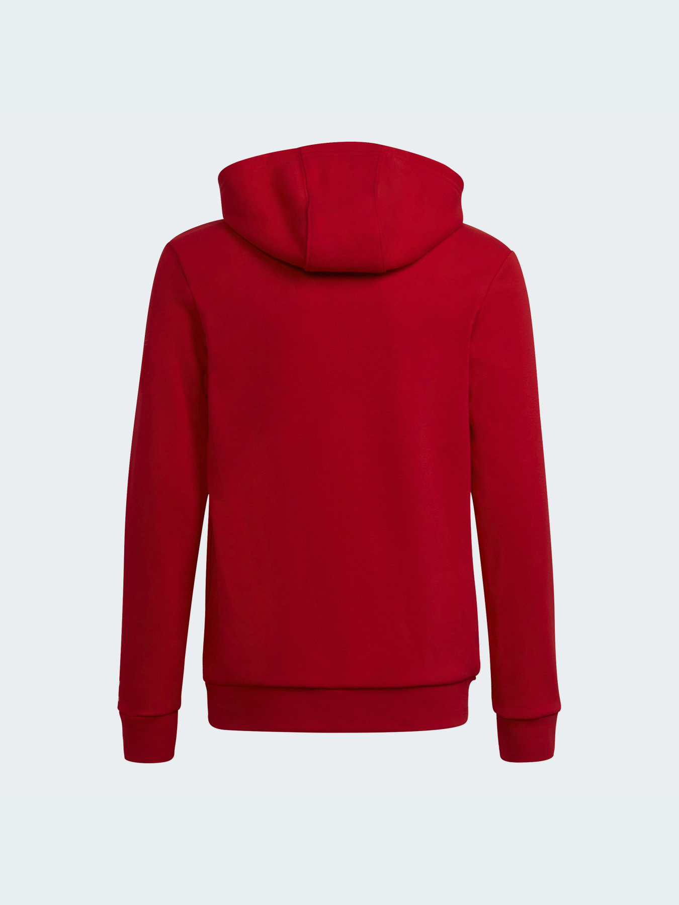 Худі Adidas Adicolor модель HE4778 Фото