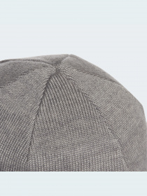 Шапка Adidas модель GS2107 Фото