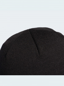 Шапка Adidas модель FS9029 Фото