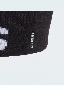 Шапка Adidas модель FS9029 Фото