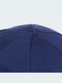 Шапка Adidas модель GS2108 Фото