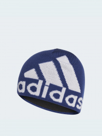 Шапка Adidas модель GS2108 Фото