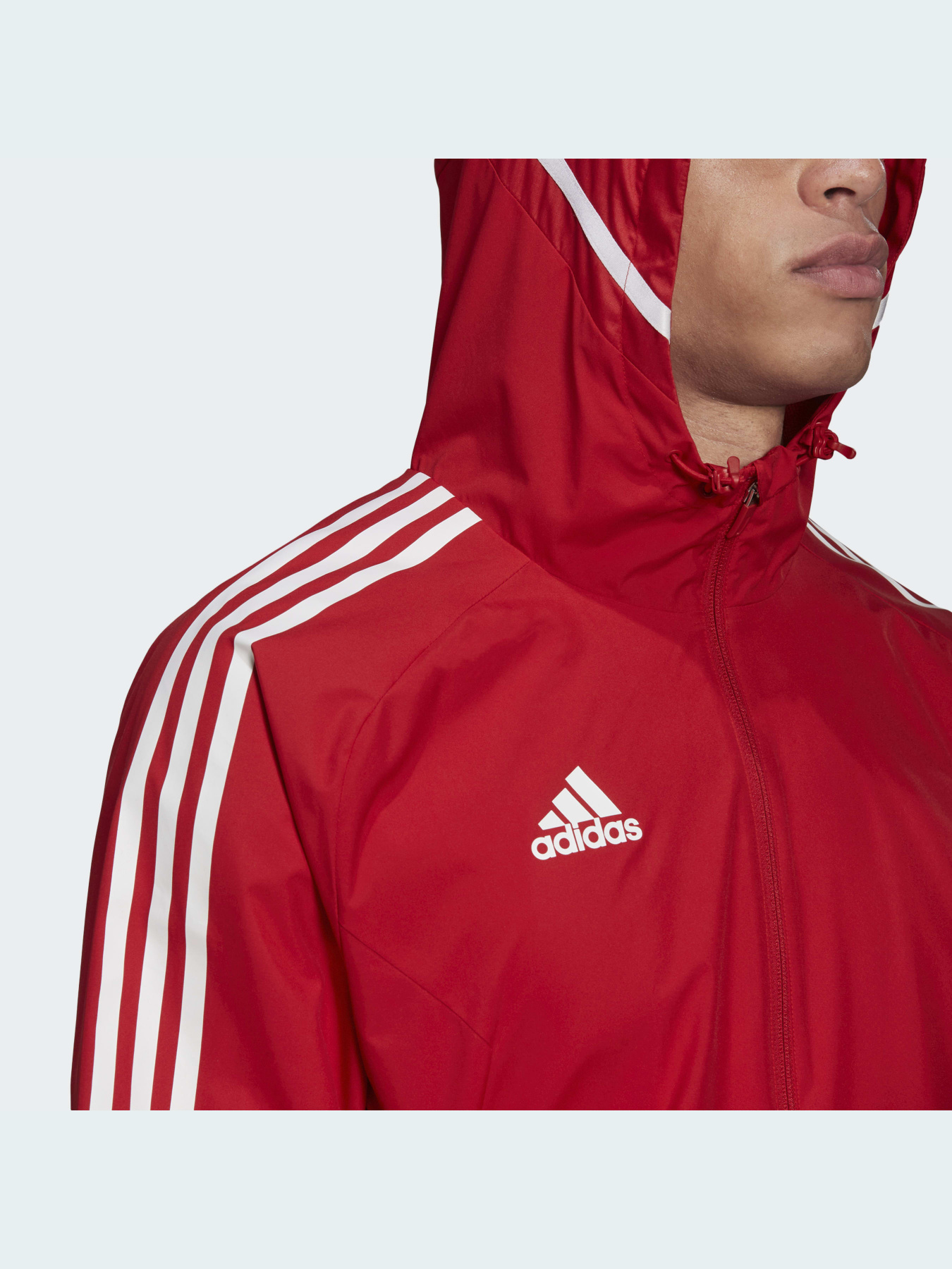 Вітровка Adidas Condivo модель HD2292 Фото