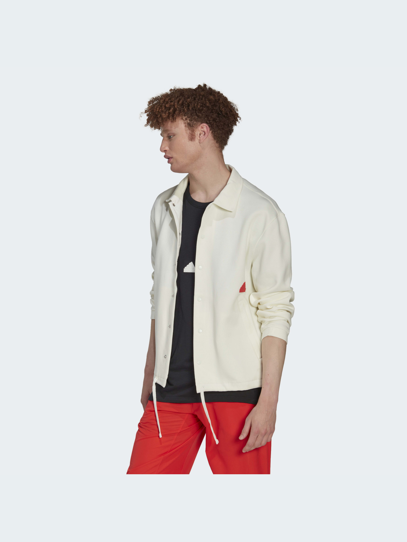 Ветровка Adidas модель HG2072 Фото