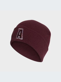 Шапка Adidas модель IJ7299 Фото