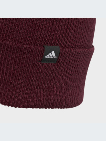 Шапка Adidas модель IJ7299 Фото