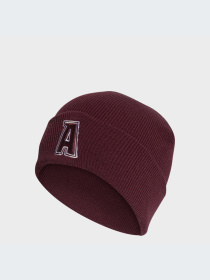 Шапка Adidas модель IJ7299 Фото