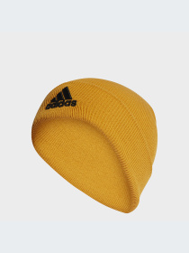 Шапка Adidas модель II3525 Фото