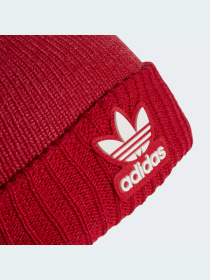 Шапка Adidas Adicolor модель IL4883 Фото