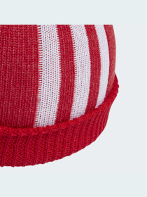 Шапка Adidas Adicolor модель IL4883 Фото