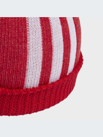 Шапка Adidas Adicolor модель IL4883 Фото