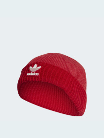 Шапка Adidas Adicolor модель IL4883 Фото