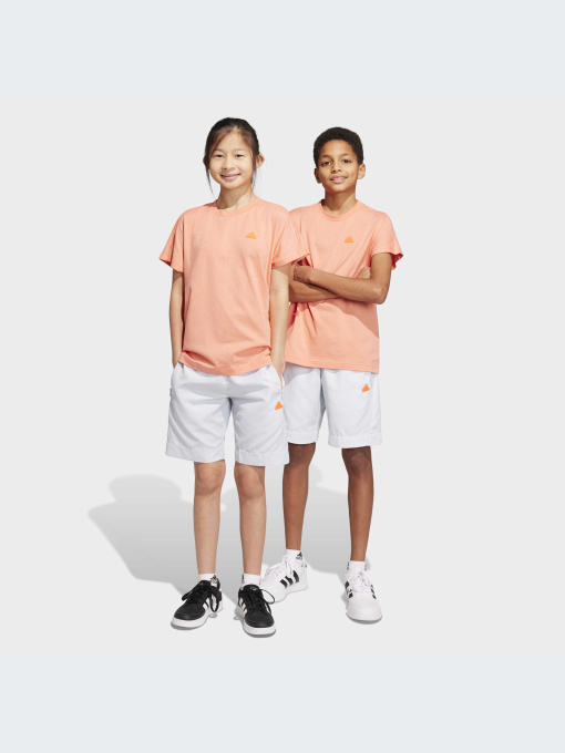 Шорты Adidas модель IC3328 Фото