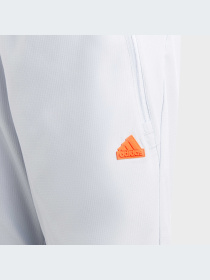 Повседневные шорты Adidas модель IC3328 Фото