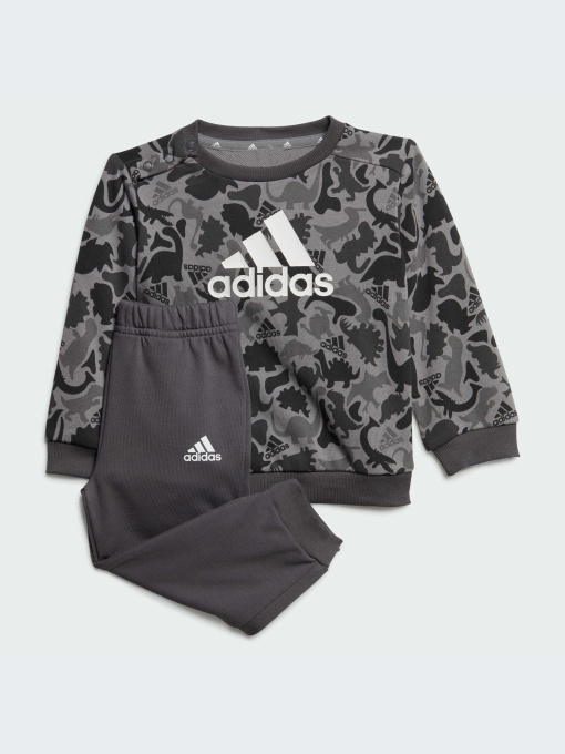 Спортивный костюм Adidas Graphics модель IM1664 Фото