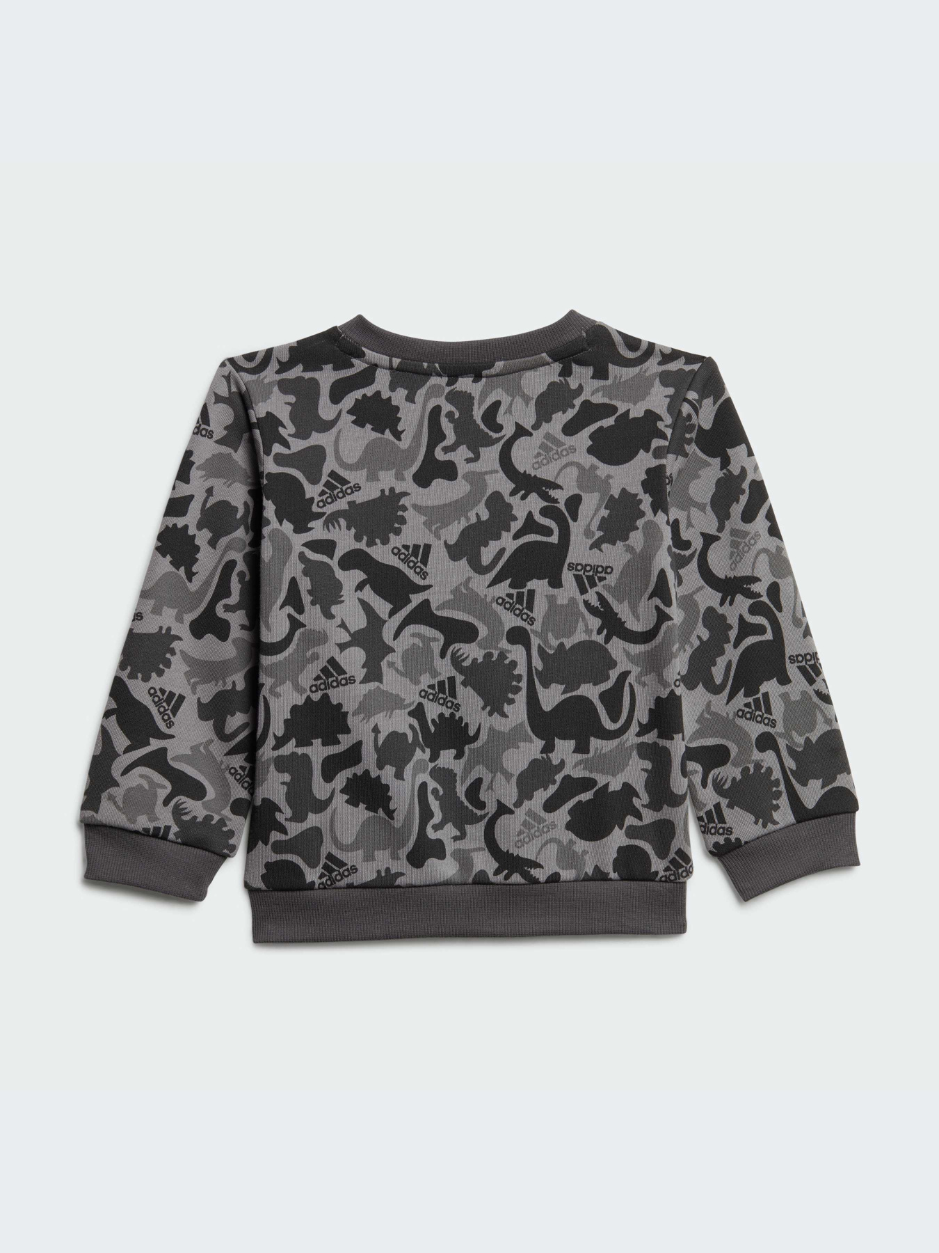 Спортивний костюм Adidas Graphics модель IM1664 Фото