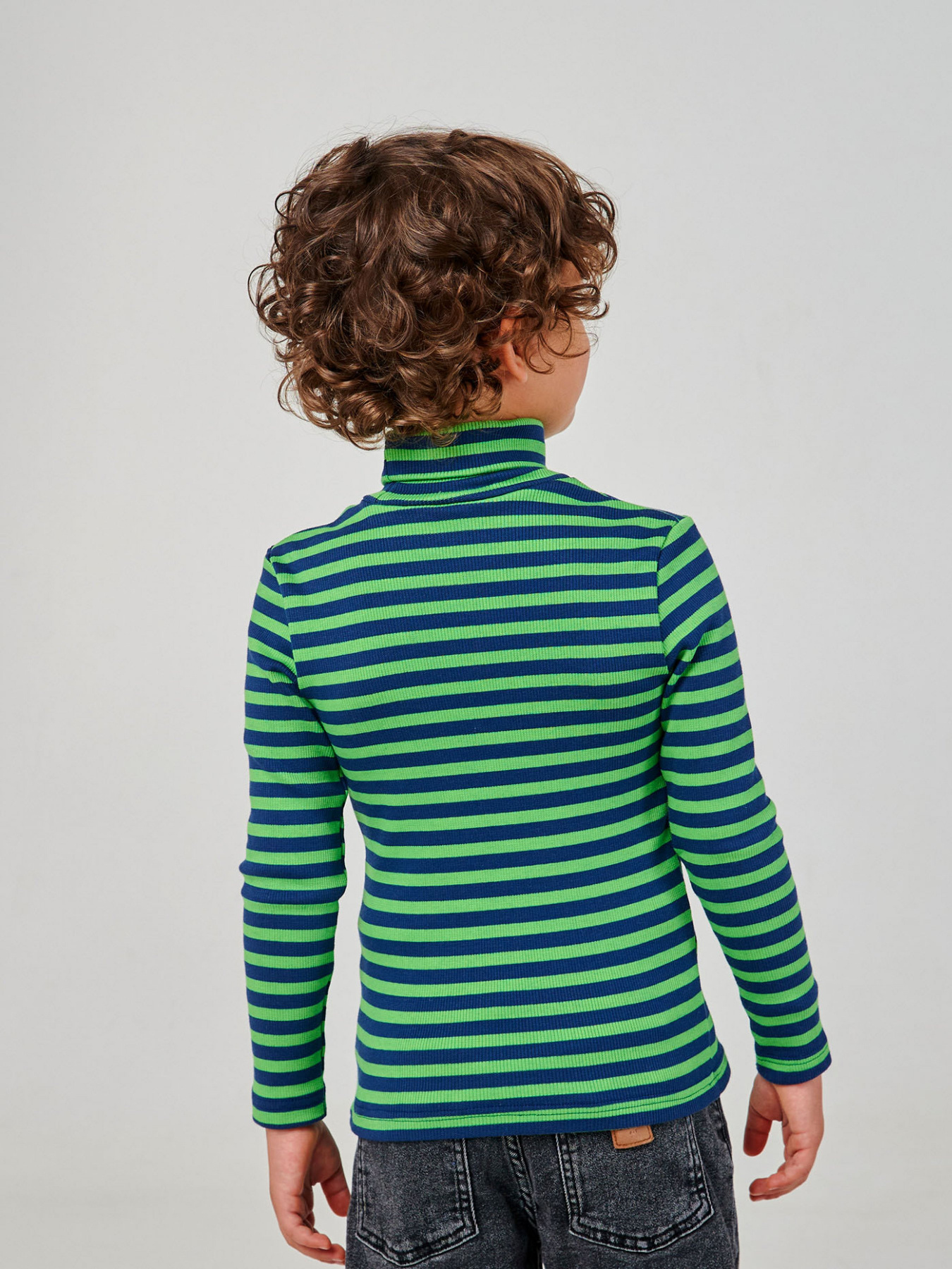 Водолазка SMIL модель smil_114953-1-poloska-salatovo-sinaa Фото