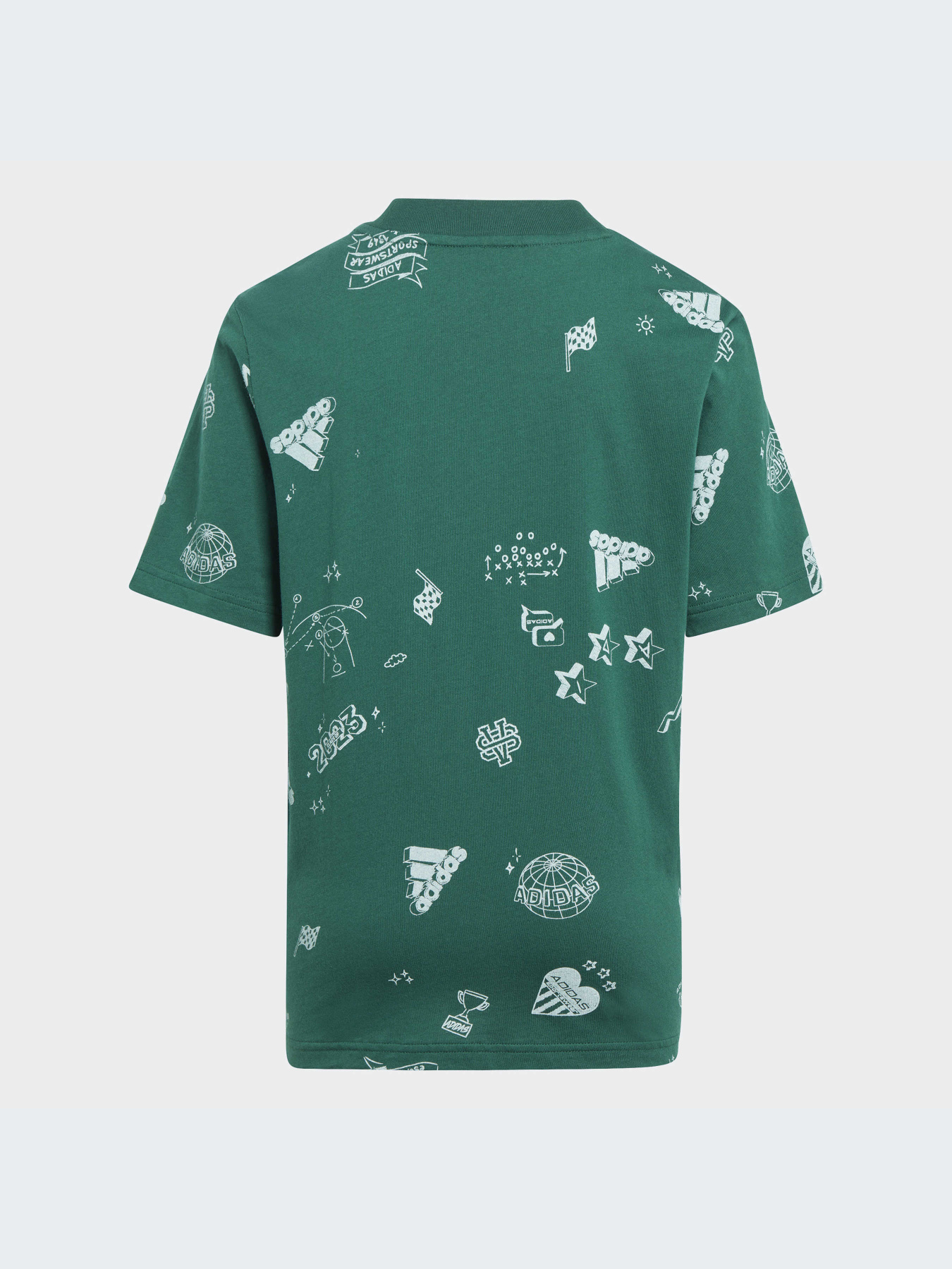 Футболка Adidas Graphics модель IA1562 Фото