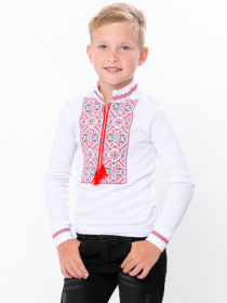 Вышитая рубашка Носи своє модель 6128-038-22-chervonij Фото