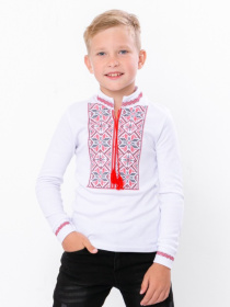 Вышитая рубашка Носи своє модель 6128-038-22-chervonij Фото