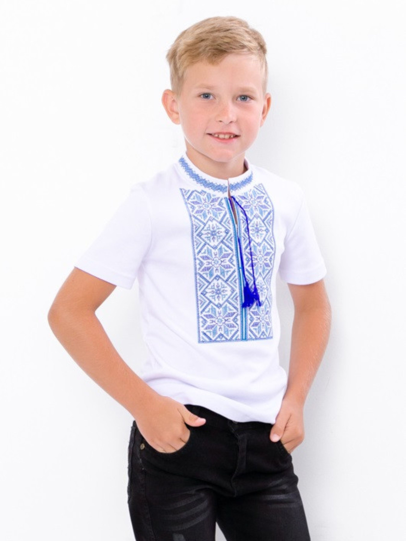 Вышитая рубашка Носи своє модель 6127-038-22-blakitnij Фото