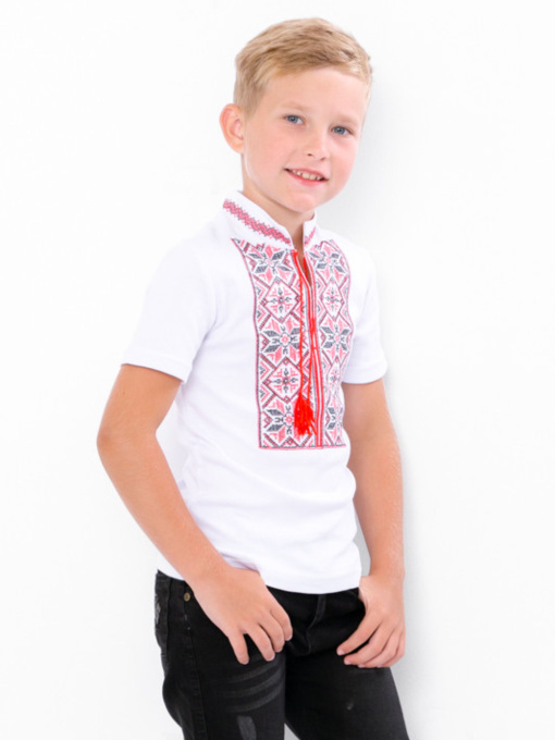 Вышитая рубашка Носи своє модель 6127-038-22-chervonij Фото