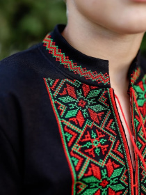 Вышитая рубашка Носи своє модель 6127-015-22-zelenij-chervonij Фото