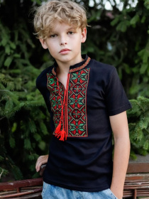 Вышитая рубашка Носи своє модель 6127-015-22-zelenij-chervonij Фото