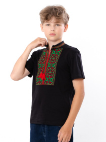 Вишиванки Носи своє модель 6127-015-22-zelenij-chervonij Фото