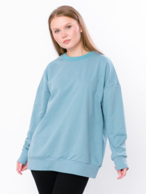 Свитшот Носи своє модель 8355-057-sro-blakitnij Фото