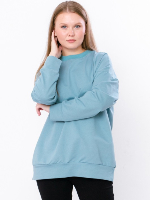 Світшот Носи своє модель 8355-057-sro-blakitnij Фото