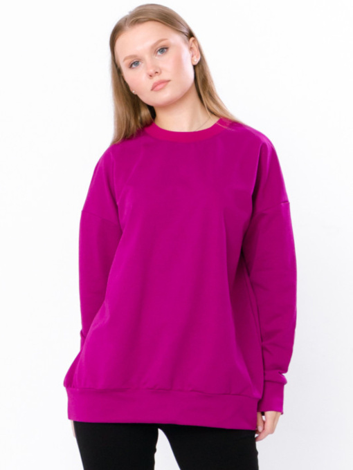 Світшот Носи своє модель 8355-057-fuksq Фото