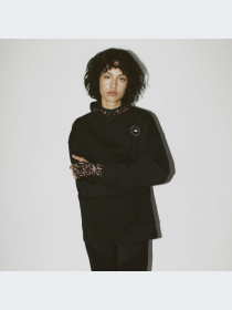 Спортивная кофта Adidas модель HR9165 Фото