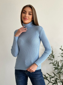 Водолазка ISSA Plus модель WN19-95_blue Фото