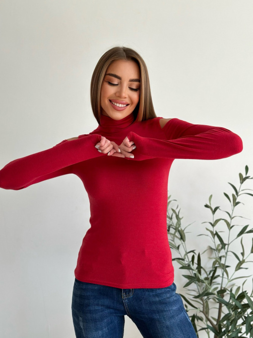 Водолазка ISSA Plus модель WN20-538_red Фото