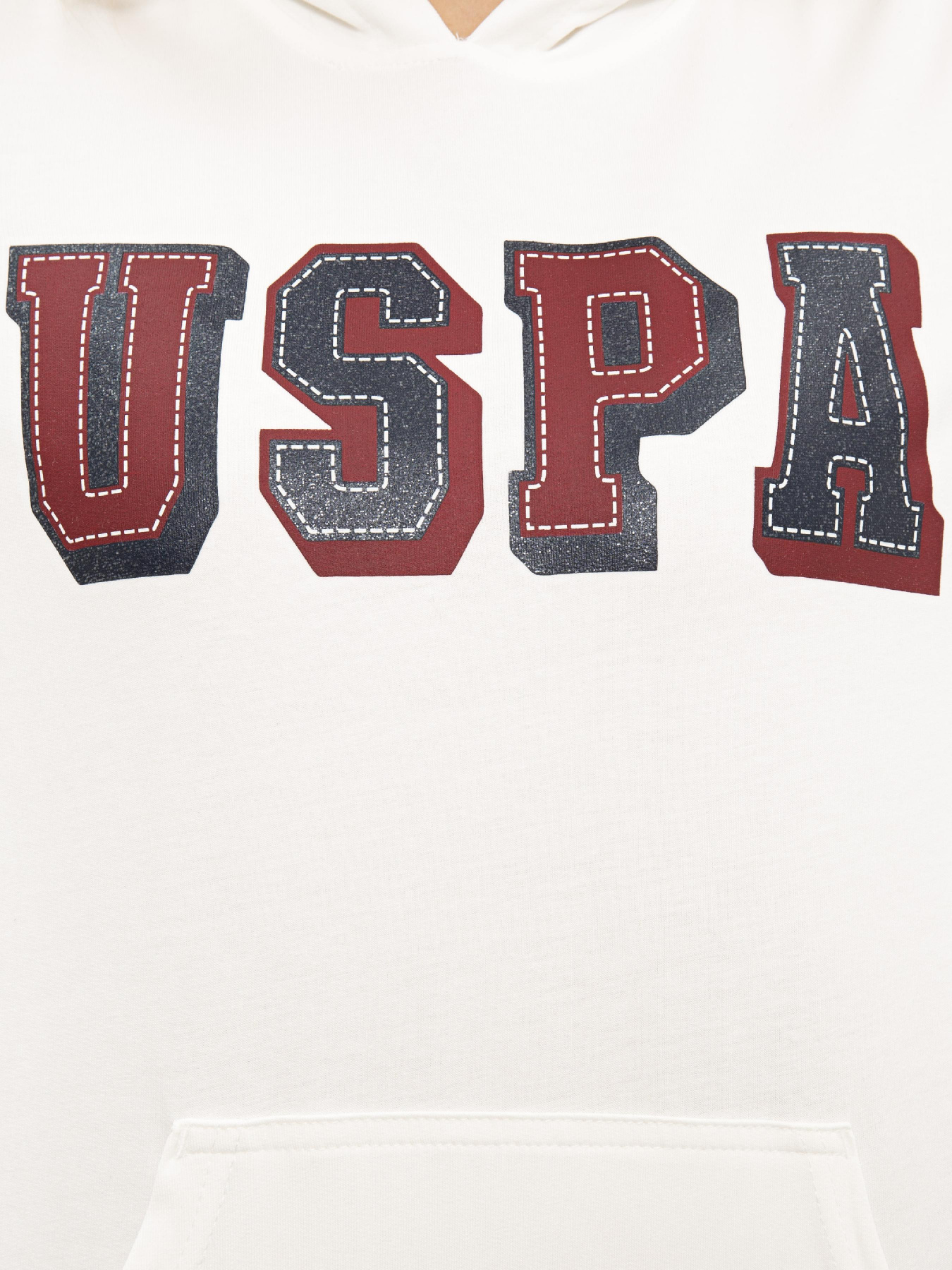 Худі US Polo модель G082GL082.000.1069607.VR019 Фото