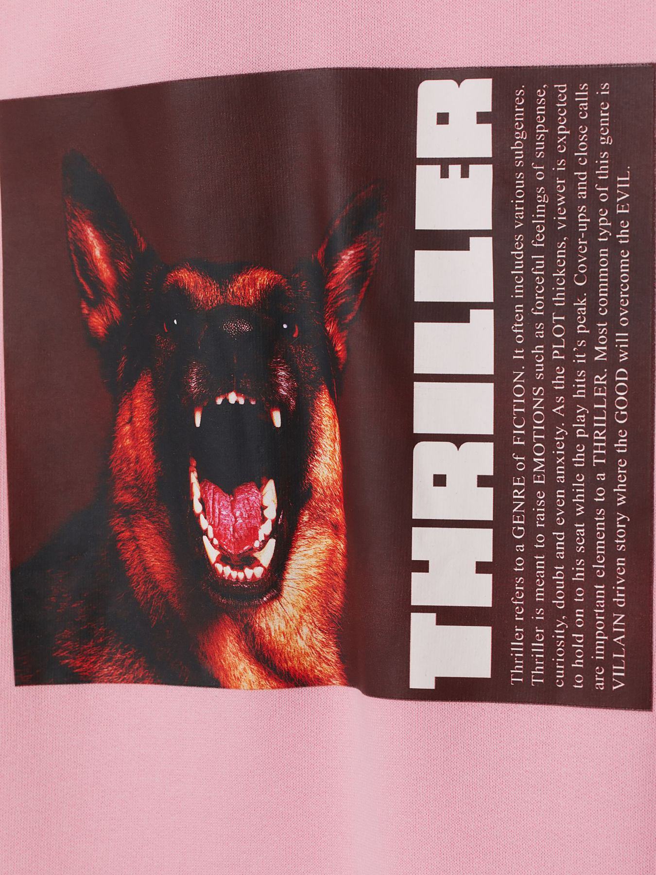 Худи H&M модель 68809 Фото