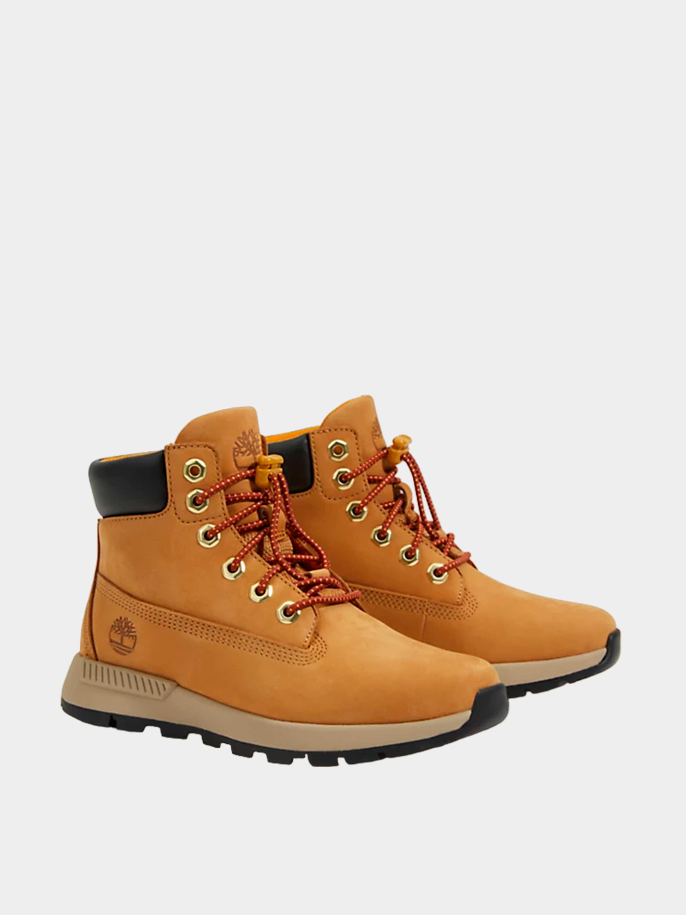 Ботинки и сапоги Timberland модель TB0A61K5231 Фото