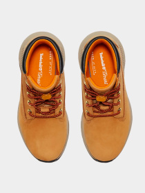 Ботинки и сапоги Timberland модель TB0A61K5231 Фото