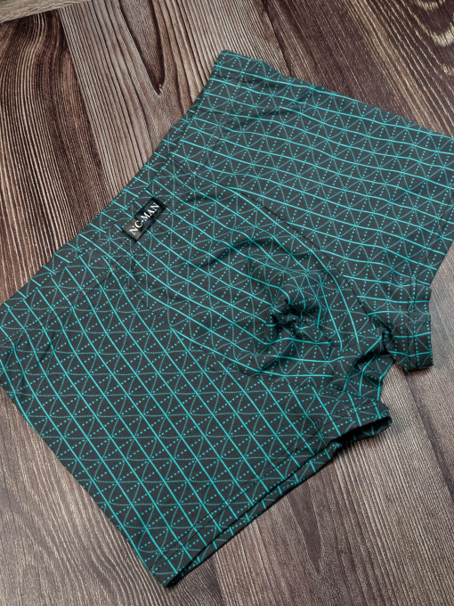 Труси ISSA Plus модель GN5-121_grey Фото