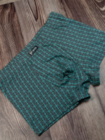 Трусы ISSA Plus модель GN5-121_grey Трусы ISSA Plus модель GN5-121_grey Фото