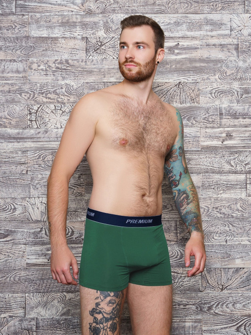 Труси ISSA Plus модель GN5-153_khaki Фото