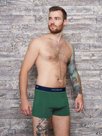 Трусы ISSA Plus модель GN5-153_khaki Фото