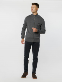 Спортивная кофта Arber модель F10.08.12.332 Фото