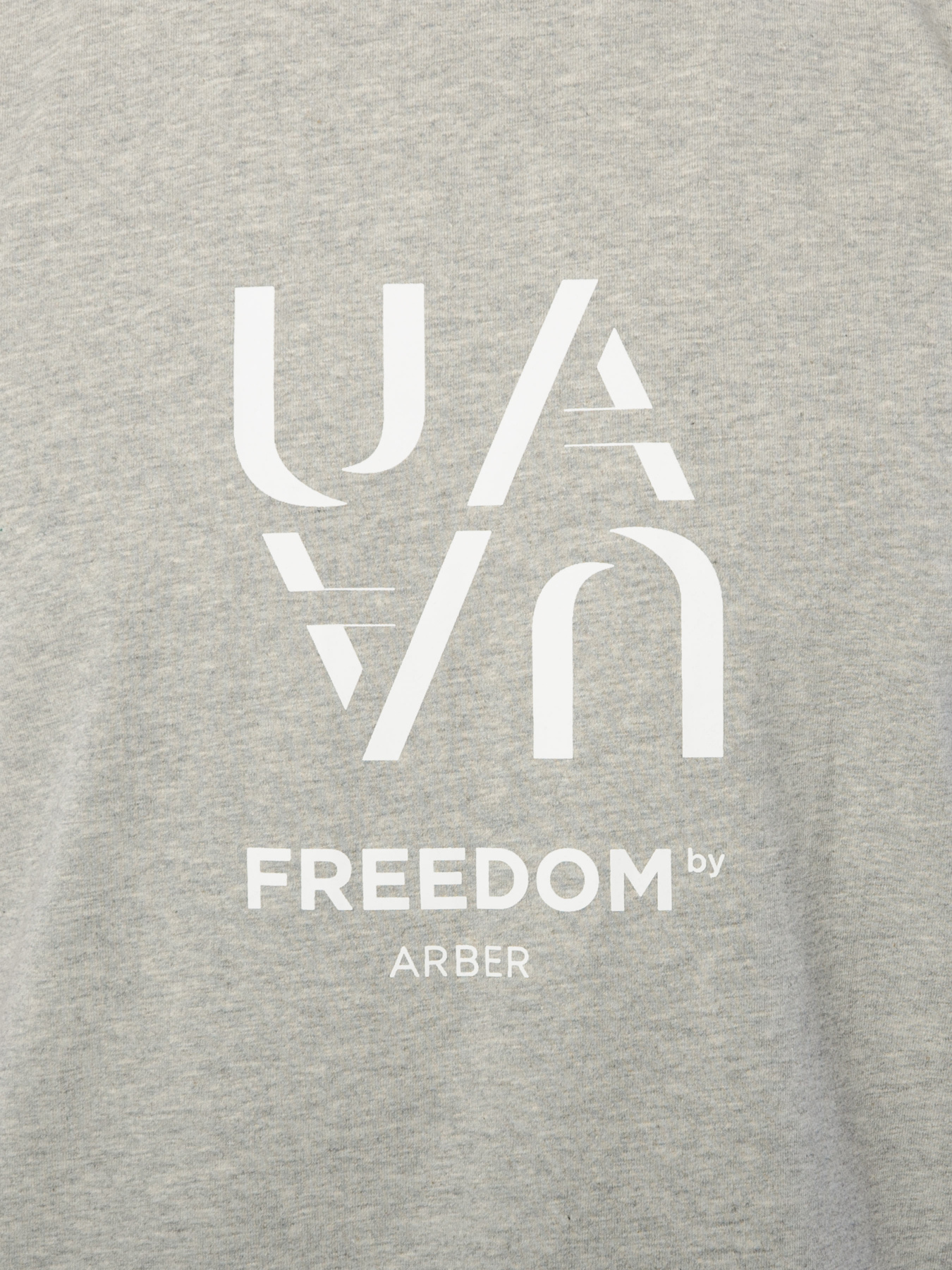 Футболка Arber модель F13.07.13.331 Фото