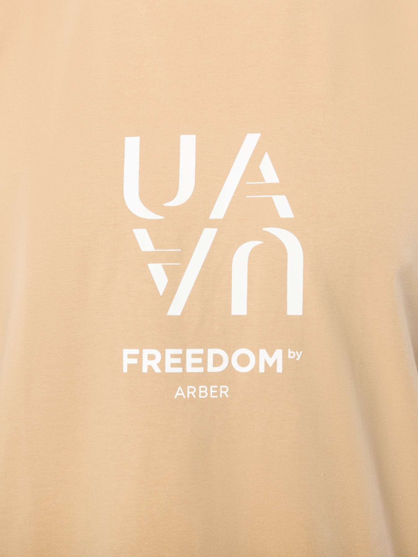 Футболка Arber модель F13.08.16.331 Фото