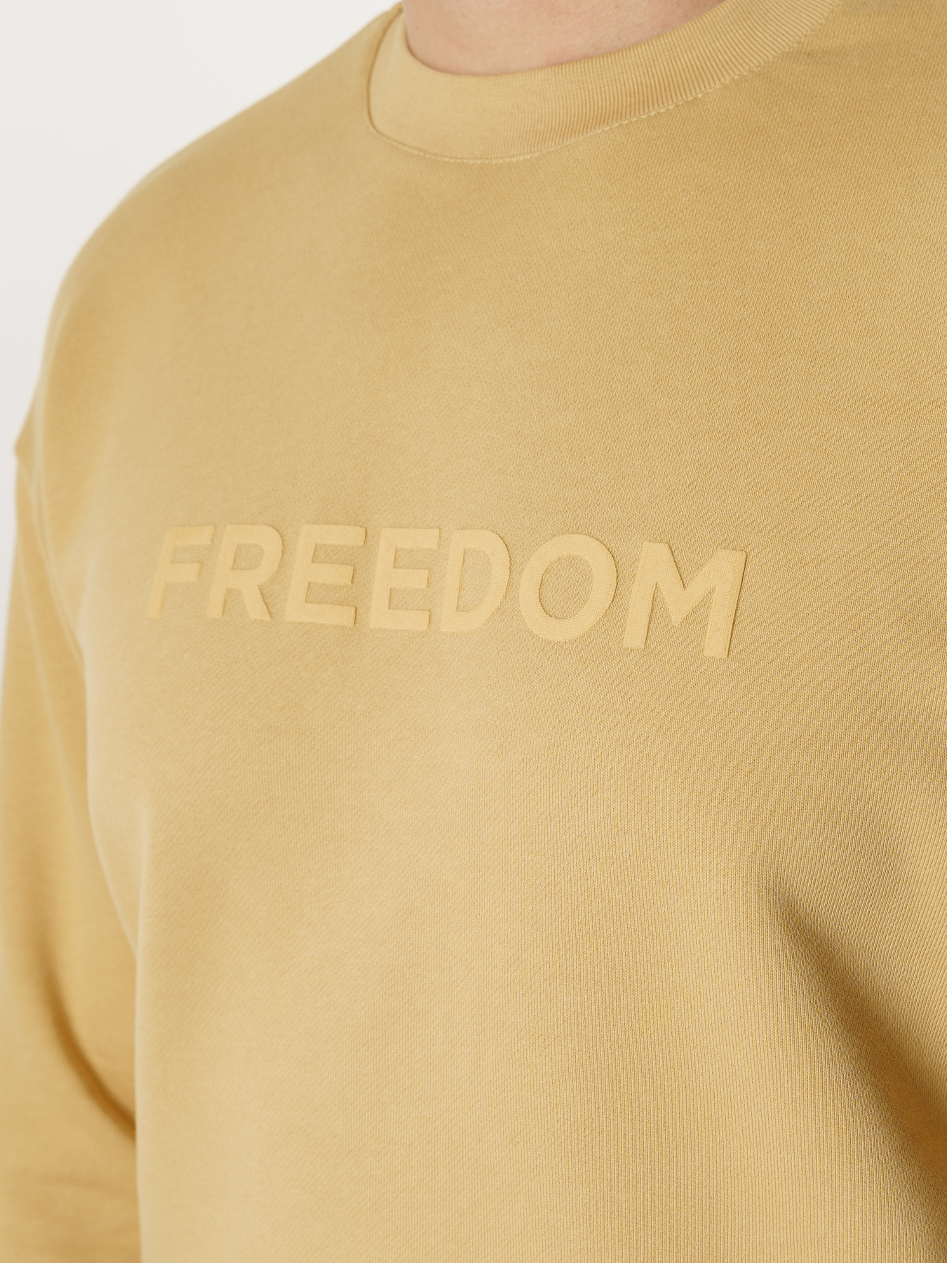 Свитшот Arber модель F17.06.16.331 Фото