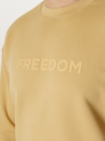 Свитшот Arber модель F17.06.16.331 Фото